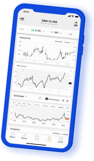Reapgild Wealth digital web application on mobile device